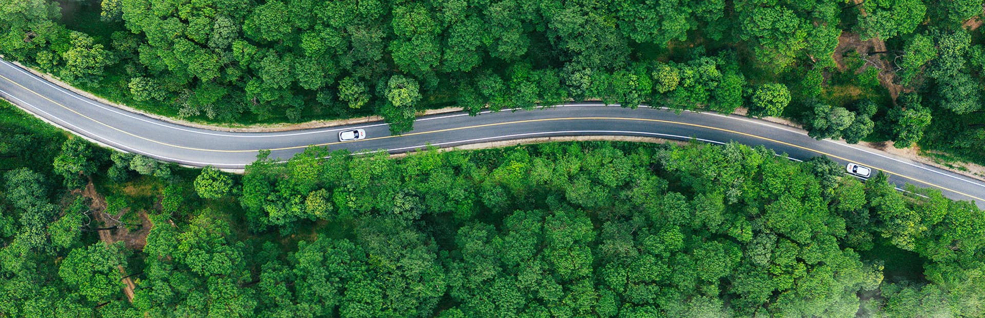 Aerial view of a curved road cutting through dense green forest, with two white cars traveling in opposite directions. The road is surrounded by thick foliage on both sides.